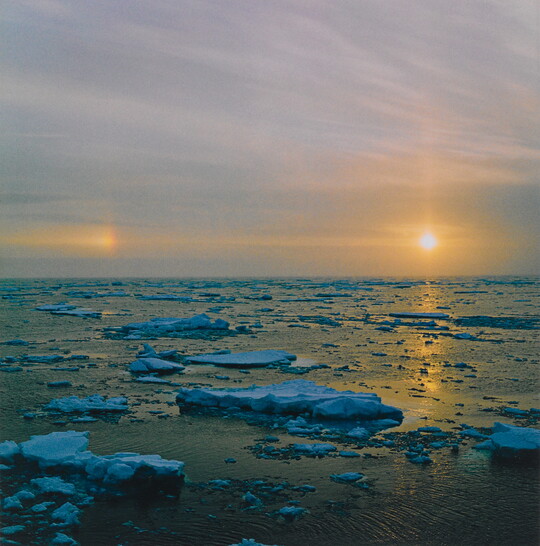 A color photograph of icebergs floating in a calm ocean with the sun peeking through a hazy sky.