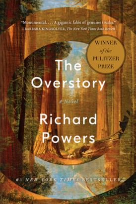 Cover of &quot;The Overstory: A Novel.&quot;