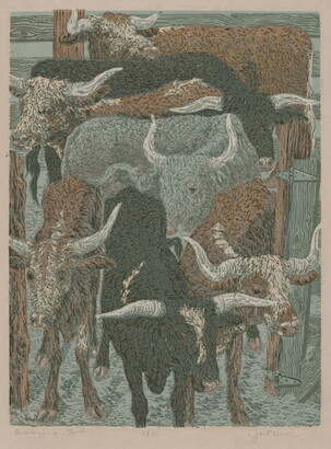 A color print of black, brown-and-white, and gray longhorn bulls in a pen.