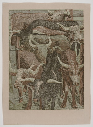 A color print of black, brown-and-white, and gray longhorn bulls in a pen.