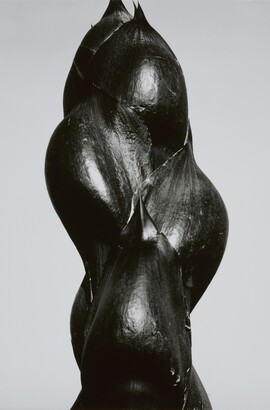 A close-up black-and-white photograph of the dark stem and buds of a plant.