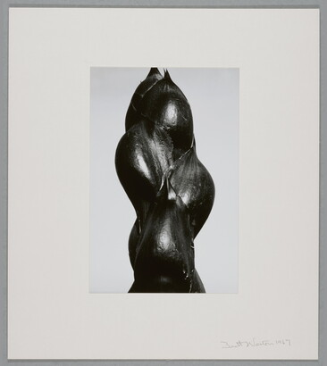 A close-up black-and-white photograph of the dark stem and buds of a plant.