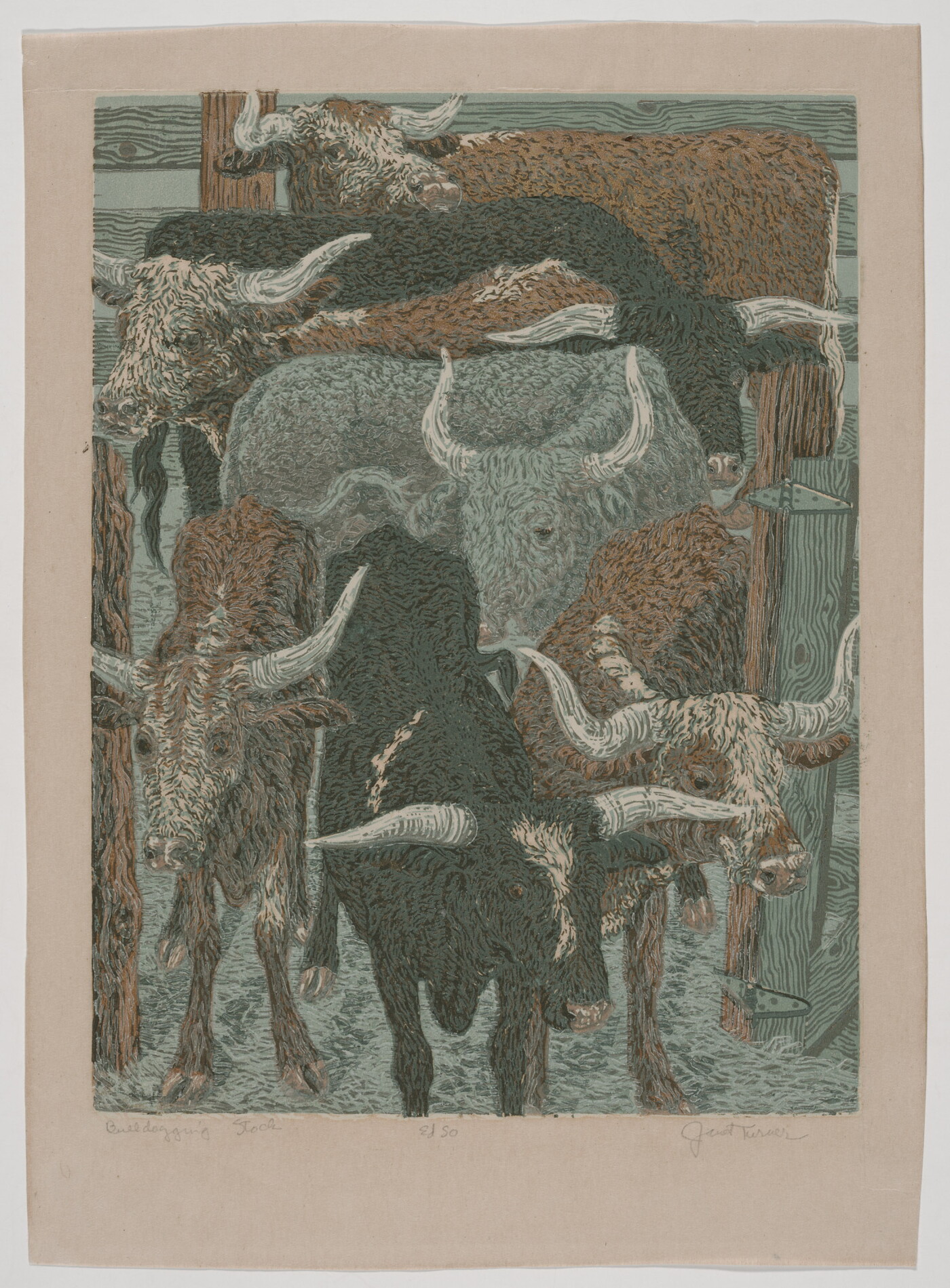 A color print of black, brown-and-white, and gray longhorn bulls in a pen.