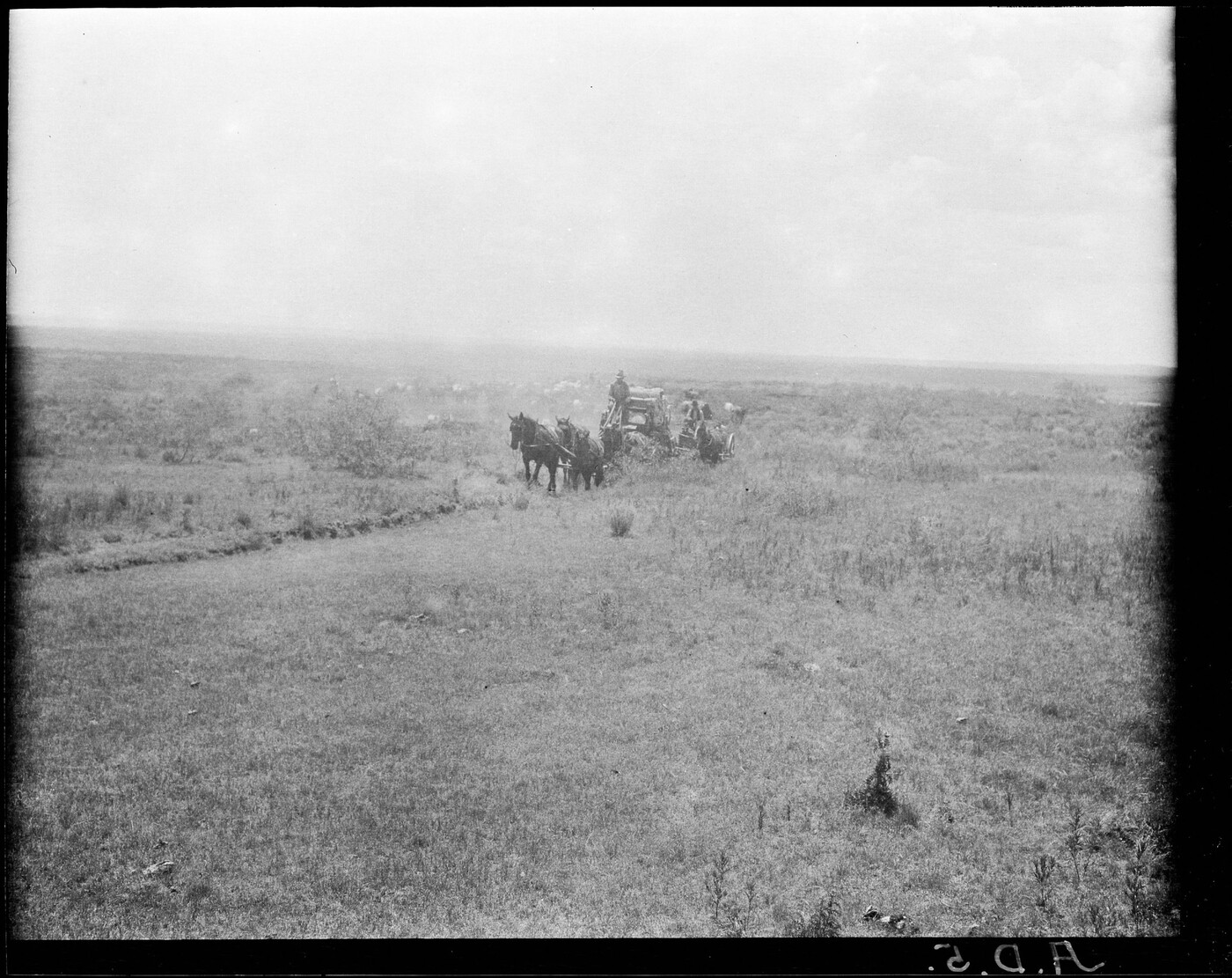 The JA Chuck Wagon, Hoodlum wagon and Remuda on the move. JA Ranch