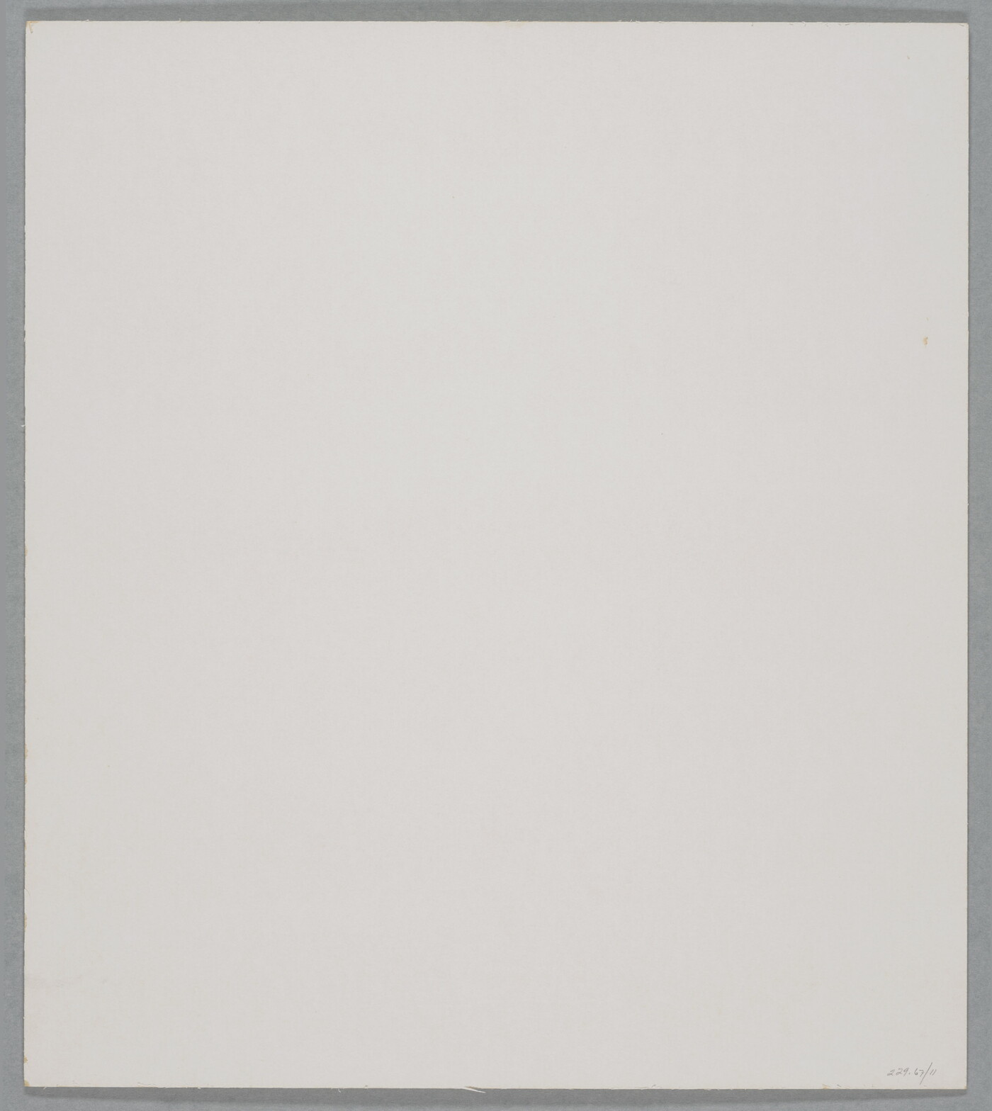 A close-up black-and-white photograph of the dark stem and buds of a plant.