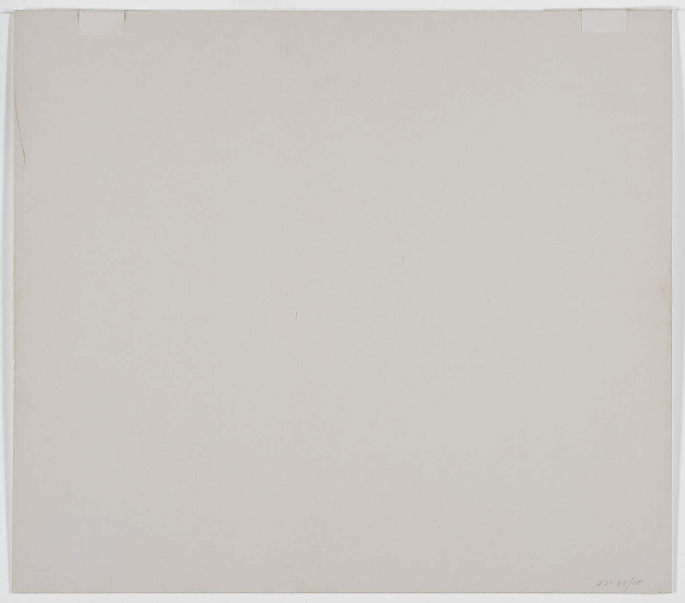 A black-and-white close-up photograph of twisted white tree roots growing out of dark soil.