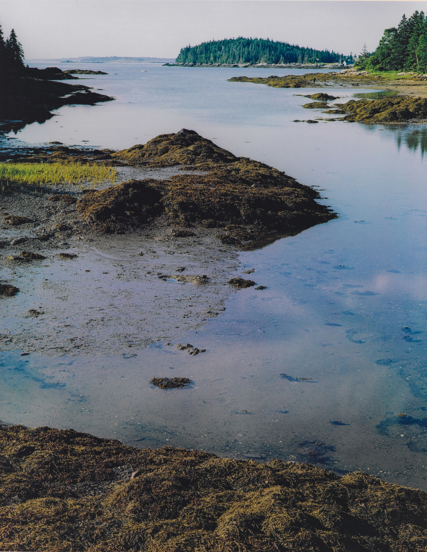 The Cove, Great Spruce Head Island, Maine, July 22, 1973 Amon Carter