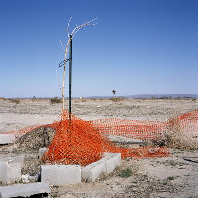 A color photograph of a dead tree attached to a stake surrounded by concrete bricks and orange construction fencing in a desert landscape.