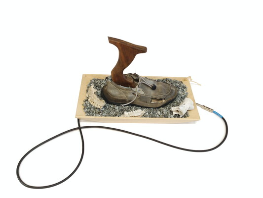 A leather loafer with a piece of polished wood in it on a bed of gravel and parts of a jawbone.