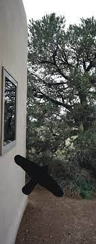 A vertically-oriented color photograph of the side of a white building and trees as seen through a glass door or window with a black bird silhouette sticker on the glass.