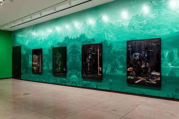 A photo of a Carter gallery with four large framed photographs on a green-tinted landscape.