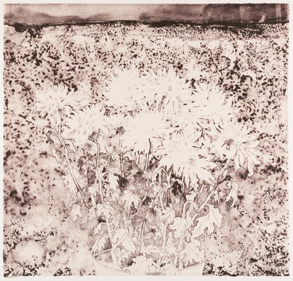 An abstract black-and-white print of a field of blooming chrysanthemums.