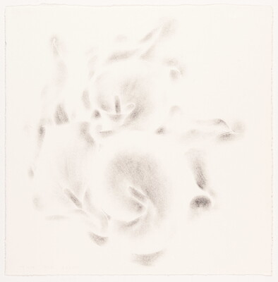 An abstract black-and-white print of what resembles delicate rose petals curling around each other.