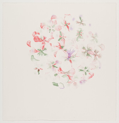 A color print of an abstract circular shape consisting of pink, purple, and green flower petal shapes.