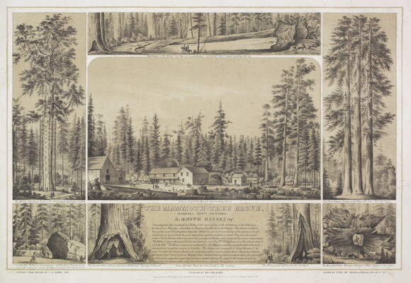 A black-and-white print divided into seven sections, each showing a scene featuring giant trees, buildings, and people.