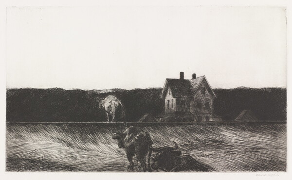 A black-and-white print of three cows walking through a field toward a three-story farmhouse in the background.