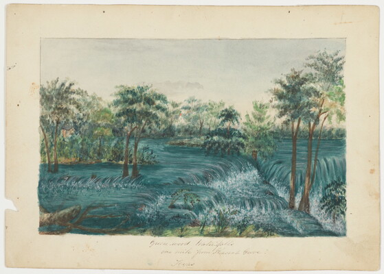 A landscape watercolor with lots trees surrounded by low, overlapping waterfalls.