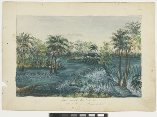 A landscape watercolor with lots trees surrounded by low, overlapping waterfalls.