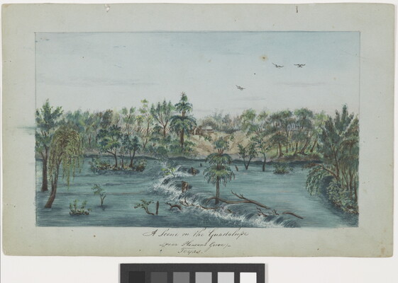 A watercolor of trees and logs in a rushing a river.