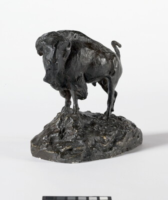 A brown sculpture of a bison standing on a slightly rocky incline.