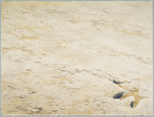 A watercolor painting of a flat, rocky landscape with an animal footprint in the bottom right corner.
