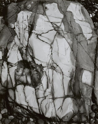 A black-and-white close-up photograph of a white rock with dark lines and cracks running through it.
