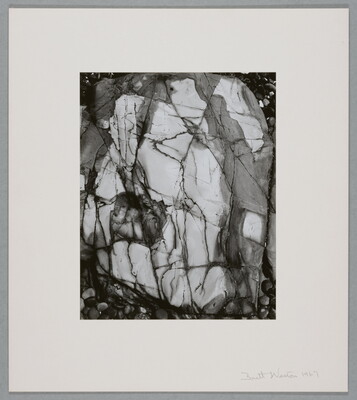 A black-and-white close-up photograph of a white rock with dark lines and cracks running through it.