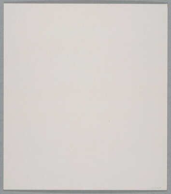 A black-and-white close-up photograph of a white rock with dark lines and cracks running through it.