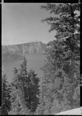 A black-and-white image of pine trees on a steep hill leading to a lake and mountains.