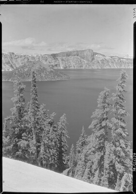A black-and-white image of pine trees on a steep hill above a lake with mountains in the distance.