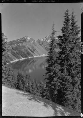 A black-and-white image of pine trees on a steep hill above a lake with mountains in the distance.