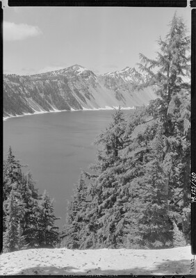 A black-and-white image of pine trees on a steep hill above a lake with mountains in the distance.
