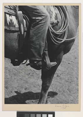 A black-and-white photograph of a person's leg in a cowboy boot, including spurs, sitting astride a horse, viewing only the horse's front quarter.