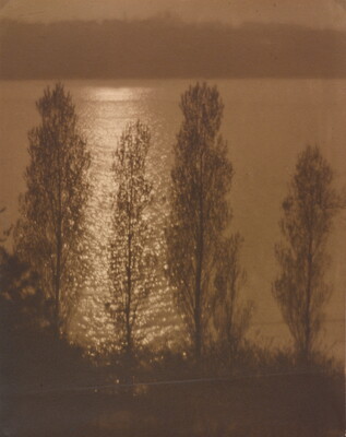 A sepia-toned photograph of sunlight reflecting on the surface of water behind the silhouettes of tall trees.
