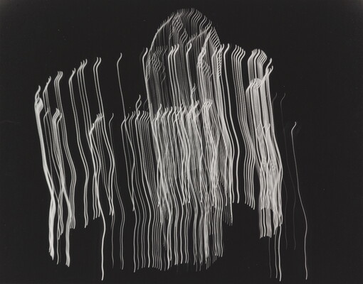 A black-and-white photograph of vertical streaks of white light layered in a circular shape on a black background.