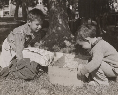 A black-and-white photograph of two Indigenous children looking into a cardboard box in grass under a tree. 