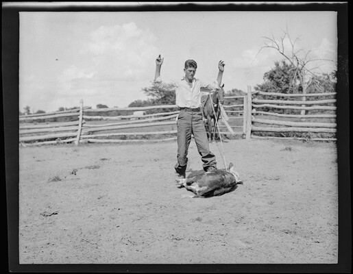 A black-and-white image of a White man standing with his hands in the air next to a roped calf on the ground and a horse in the background.