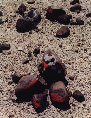 A color photograph of brown stones partially covered with red and white lichen on pebble-strewn ground.