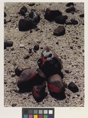 A color photograph of brown stones partially covered with red and white lichen on pebble-strewn ground.