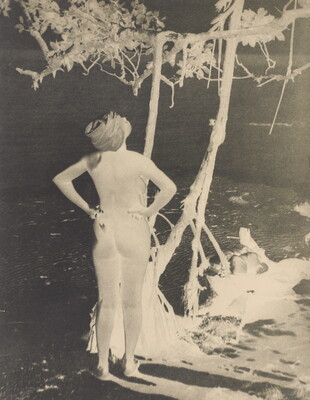 A black-and-white photo negative of a nude woman, hands on hips, with a swath of fabric wrapped around her head looking up at a tree.