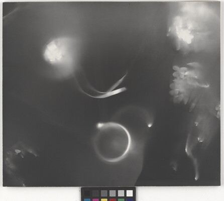 An abstract black-and-white photograph of foggy ribbons and flowers against a black background.