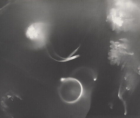 An abstract black-and-white photograph of foggy ribbons and flowers against a black background.