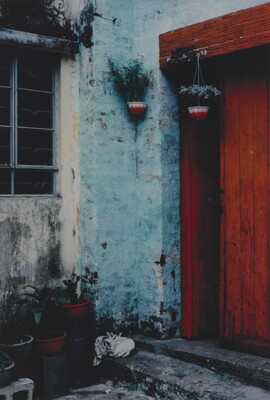 A color photograph of the outside of a building with light blue walls and a bright red doorway; potted plants hang near the doorway and sit beneath the window.