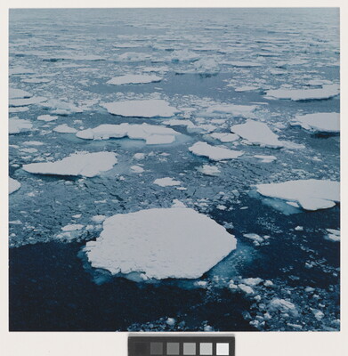 A color photograph of white ice floes in dark ocean water.