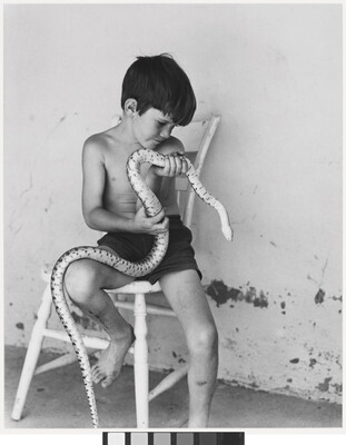 A black-and-white photograph of a shirtless young White boy sitting on a wooden chair holding a large snake.