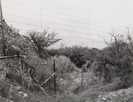 A black-and-white photograph of two parallel barbed wire fences surrounded by low trees and grasses on a rocky hillside.