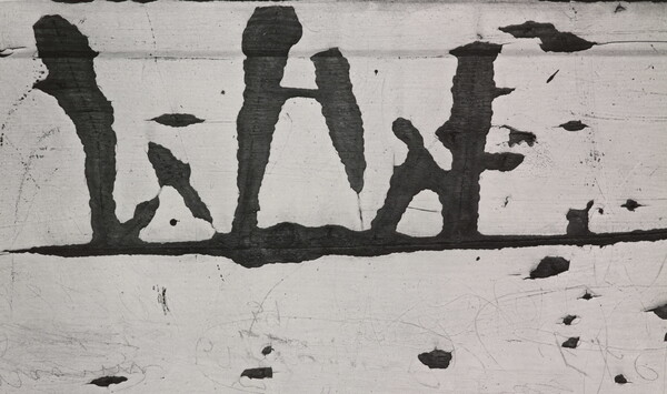 A black-and-white close-up photograph of white paint peeling off of wood.