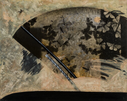 A color photograph of a windshield covered with dust, partially cleared by a wiper; the cleared area is covered with moths.