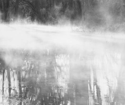 A black-and-white photograph of water reflecting tall trees; the water is covered in mist.