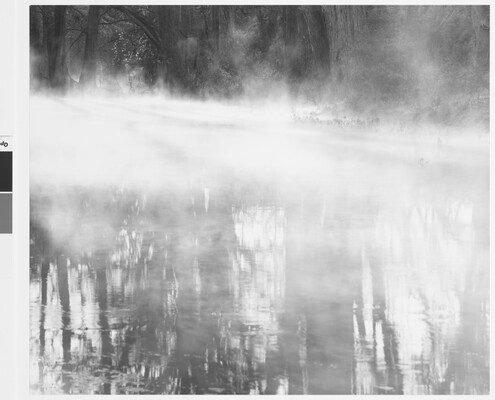 A black-and-white photograph of water reflecting tall trees; the water is covered in mist.